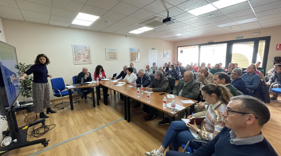 Cooperativas Agro-alimentarias hace balance de la campaña de aceituna en Castilla-La Mancha con una producción un 50% inferior a la anterior